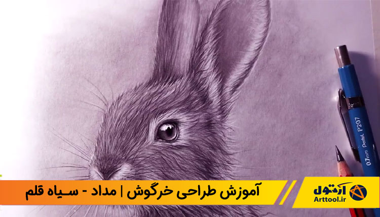 آموزش طراحی خرگوش | نقاشی خرگوش | آموزش نقاشی خرگوش | خرگوش نقاشی | آموزش نقاشی | آموزش طراحی با مداد | آموزش نقاشی با مداد | هایپررئال | آرت تول