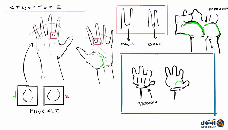 آموزش طراحی حالت های مختلف دست | نقاشی دیجیتال |طراحی دست | آموزش نقاشی دیجیتال