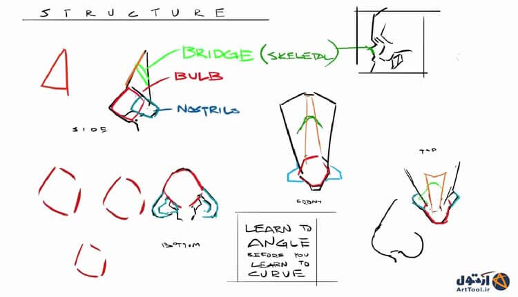 آموزش طراحی آناتومی دست | کشیدن دست نقاشی دیجیتال | آموزش digital painting