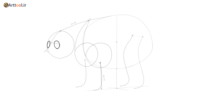 کاسه چشم طراحی خرس