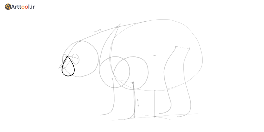 طراحی خرس پوزه ساده