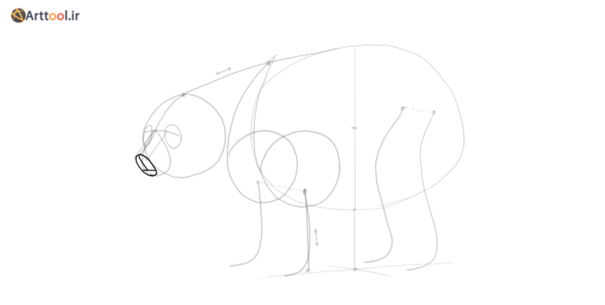 پوزه سه بعدی طراحی خرس
