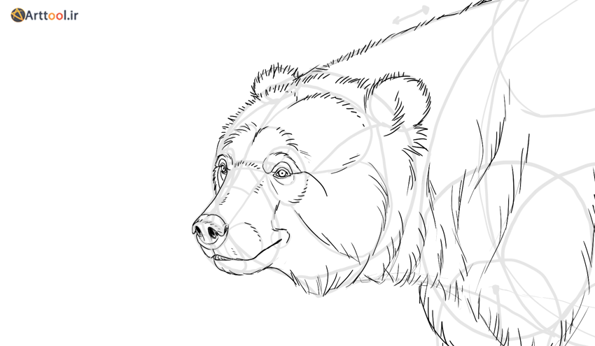 خرس طراحی خز صورت