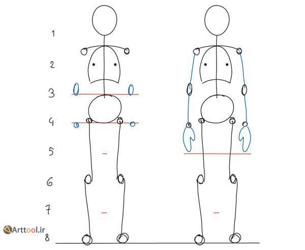مرجع طراحی بدن انسان برای بازوها