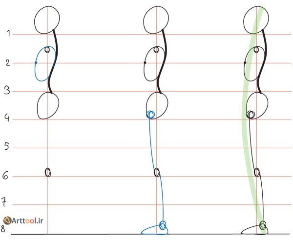 مرجع طراحی نمایه انسان برای قفسه سینه و پاها