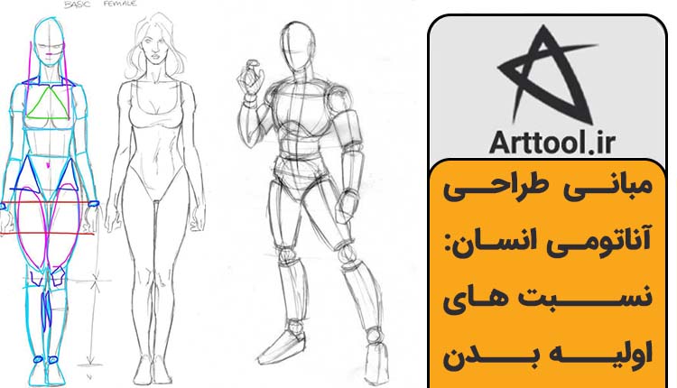 مبانی طراحی آناتومی انسان: نسبت های اولیه بدنمبانی طراحی آناتومی انسان: نسبت های اولیه بدن