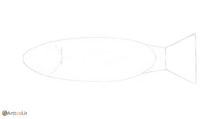 5a-drawing-fish-trout-the-head-768x409.jpg