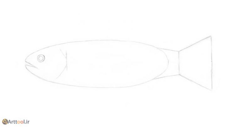 5c-drawing-fish-trout-drawing-the-mouth-768x409.jpg