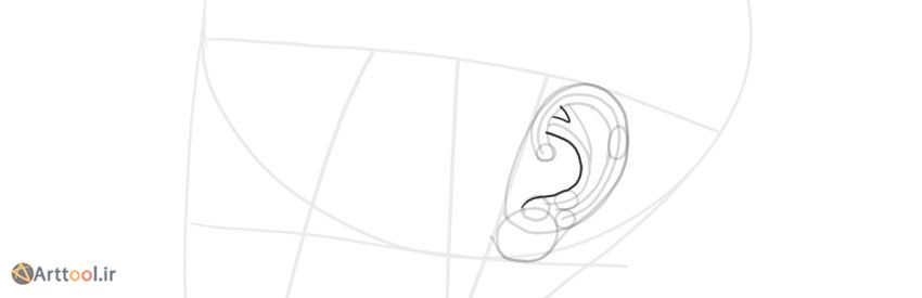 نمای جانبی گوش با رسم کامل قسمت درون‌پیچه