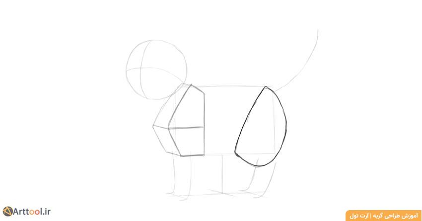 طراحی ران گربه