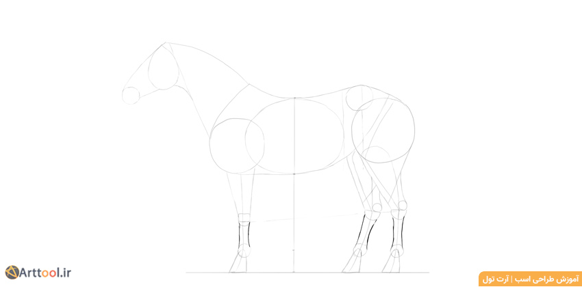 طراحی ساق دست‌ها و پاهای اسب