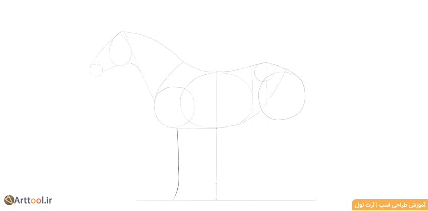 طراحی پای جلویی اسب 