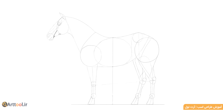 طراحی ماهیچه‌های سر اسب با جزئیات