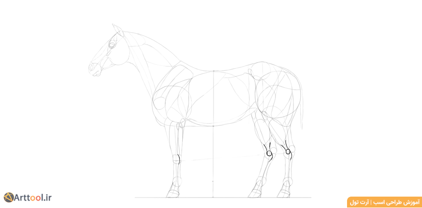 طراحی مفاصل استخوانی اسب