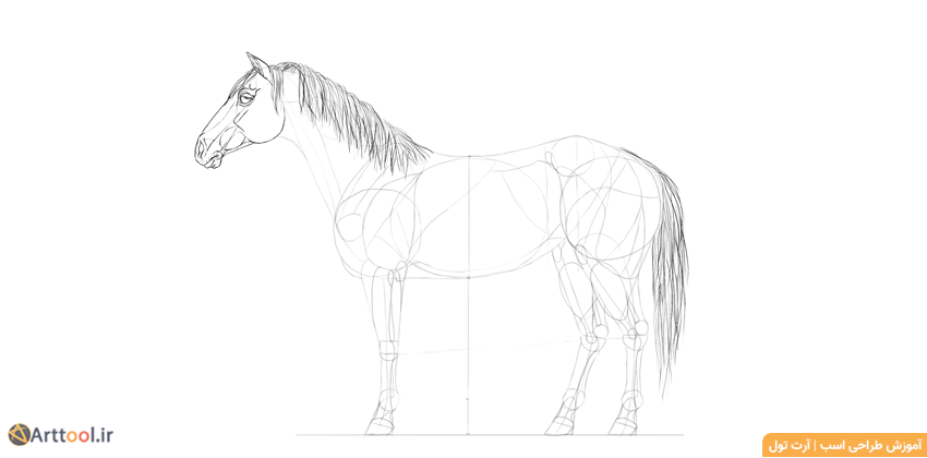 طراحی جزئیات صورت اسب