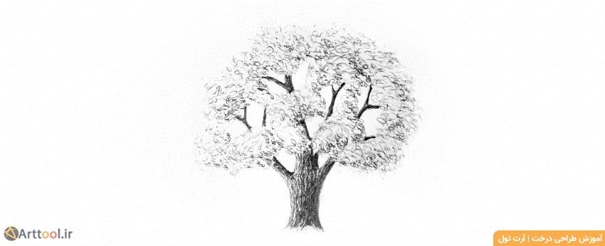 طراحی سایه واقعی برگ درخت بلوط