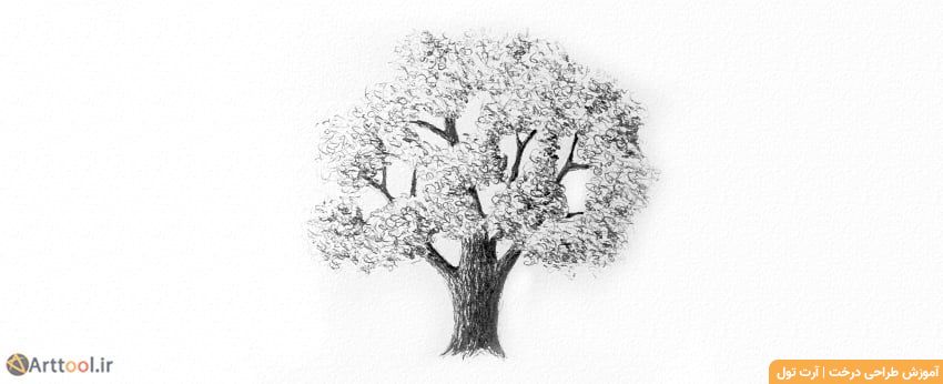 طراحی سایه واقعی تاج درخت بلوط