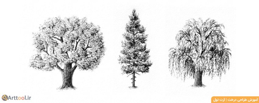 طراحی سه مدل درخت