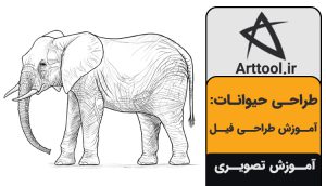 آموزش طراحی فیل