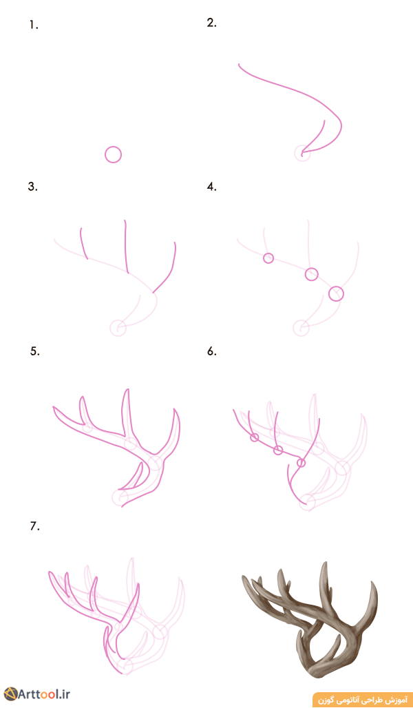 How to Draw Deer Antlers Step by Step
