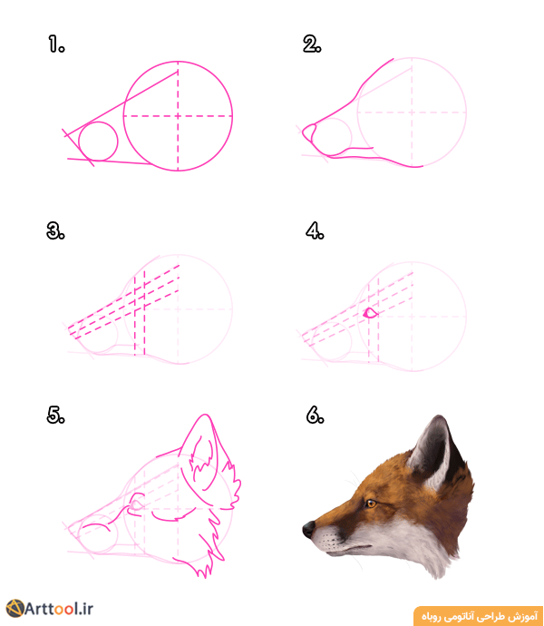 طراحی سر روباه قرمز - نمای جانبی