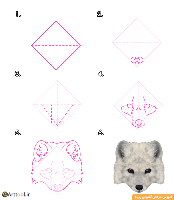 طراحی سر روباه قطبی - نمای جلو