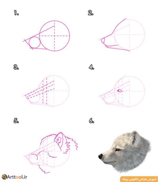 طراحی سر روباه قطبی - نمای جانبی