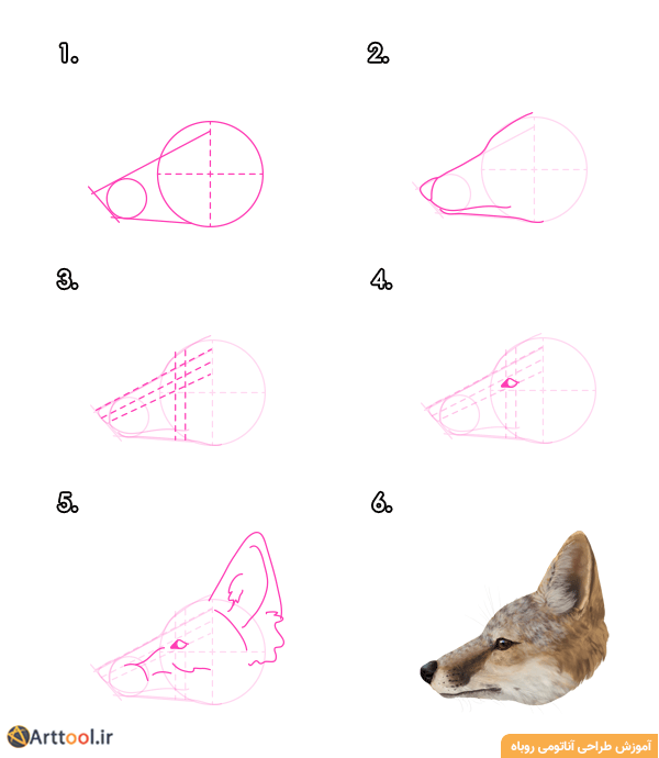 طراحی یک کیت سر روباه - نمای جانبی