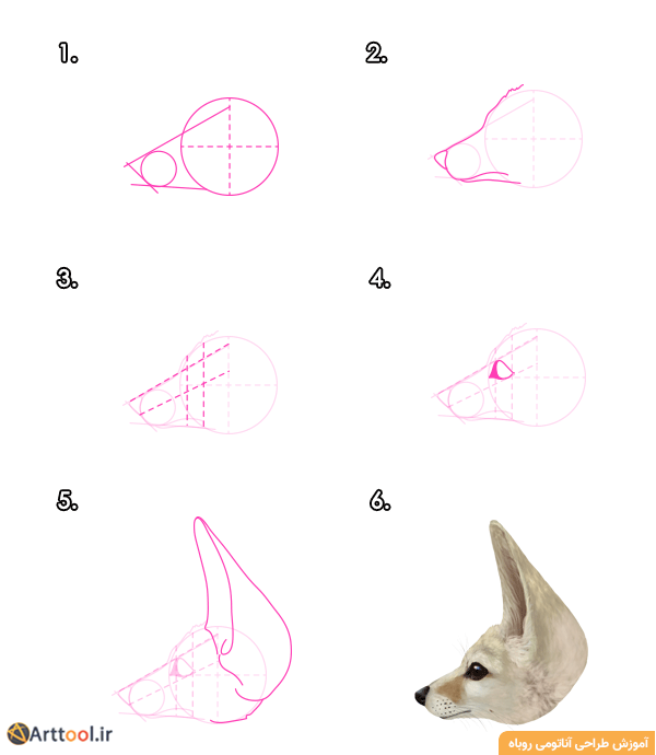 طراحی سر روباه فنک - نمای جانبی