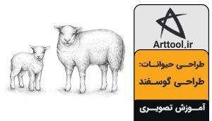 آموزش طراحی گوسفند
