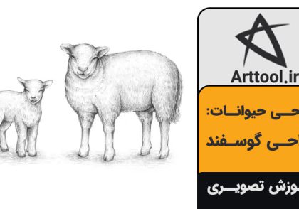 آموزش طراحی گوسفند